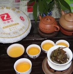 知乐茶叶加盟