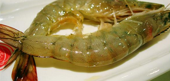 沸洋洋大虾自助火锅,大虾加盟