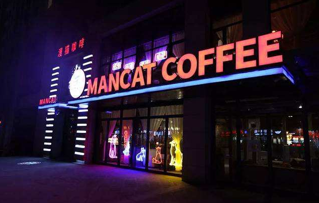 漫猫咖啡代理加盟费多少 开漫猫咖啡店优势